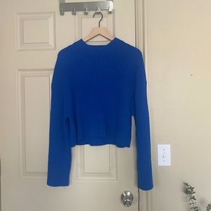 colbalt sweater